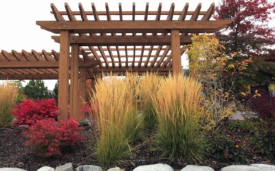 4 Uses for Pergolas for the Fall