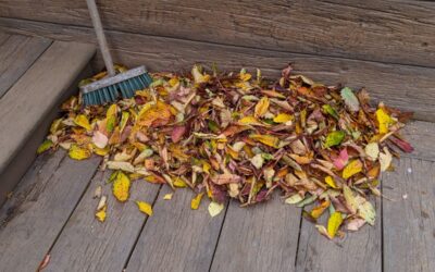 How should I maintain my new wood deck?