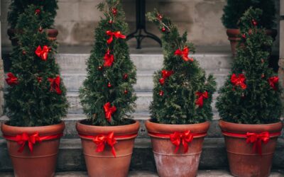 It’s Time to DECK-ORATE for the Holidays