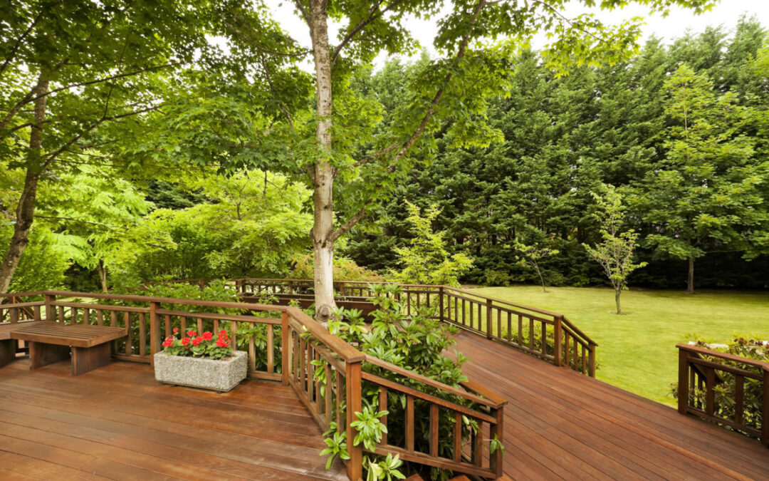 Ways to Design Your Outdoor Living Space Around a Tree