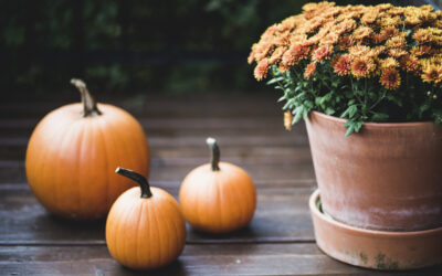 Enhancing Your Lee’s Summit Patios with Fall Decorations and Comfort