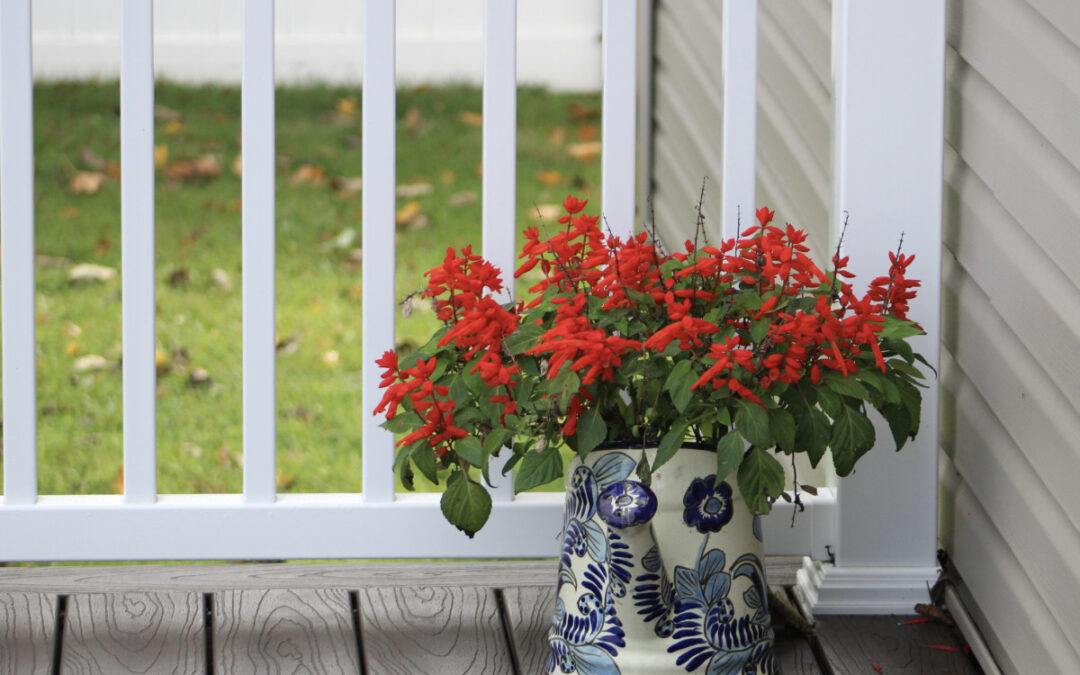 Year-Round Comfort with Olathe Patios